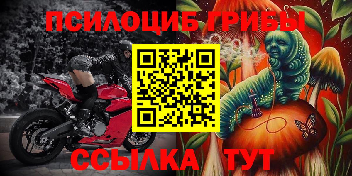 Галлюциногенные грибы Cubensis Каменск-Уральский