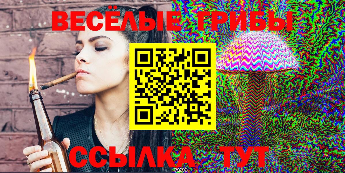 Каменск-Уральский  Галлюциногенные грибы Psilocybine cubensis  наркота  Псилоцибиновые грибы мухоморы  Вход с VPN 